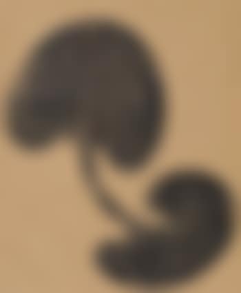 Siamesisches Blatt (preview)