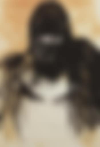 Missing link (preview)