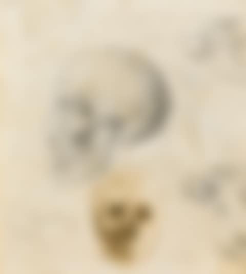 CRÂNE HUMAIN DE PROFIL ET VISAGE D'ÉCORCHÉ DE FACE. ÉTUDES D'OS  - RECTO DEUX ÉTUDES D'ENFANTS ET DE FEUILLES - VERSO (preview)