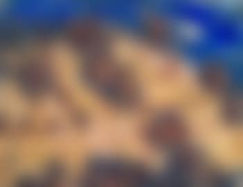 Berglandschaft mit Bäumen (preview)