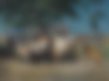 A la sombra (preview)