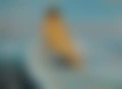 A female nude in a rowboat at sunset (preview)