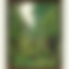 Apple-scrumping (preview)