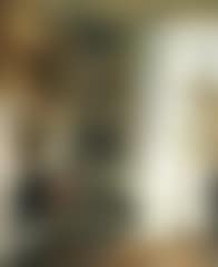 Glimpse of the sun in the drawing room (preview)