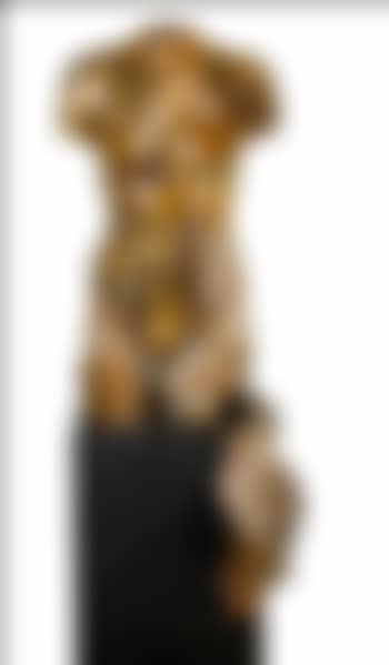Torso (preview)