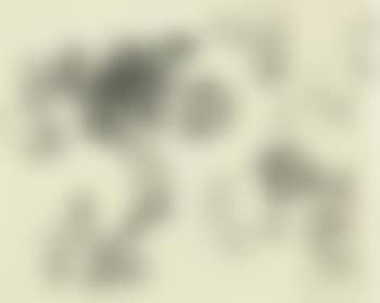 Composition (preview)