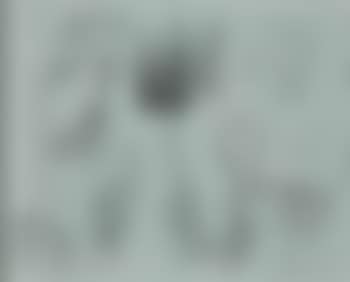 Composition (preview)
