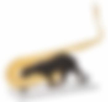 Jazzy Jaguar (preview)