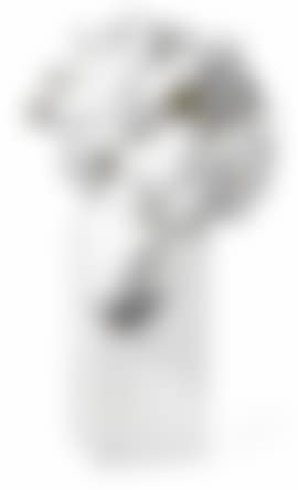 Three portraits (preview)