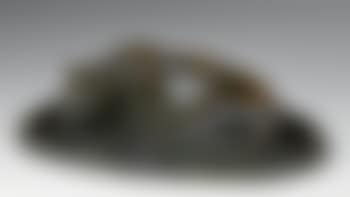 Jaguar dormant (preview)