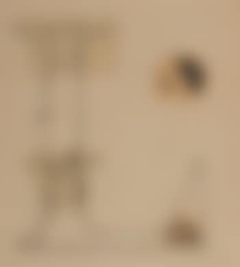 L (preview)