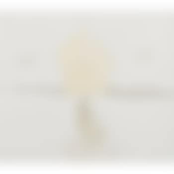 Sans titre (preview)