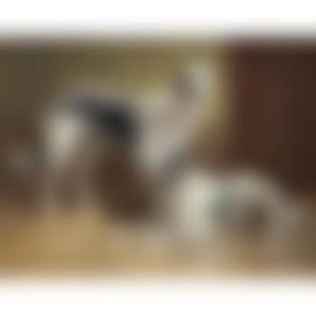 A Pair of Borzois in an interior (preview)