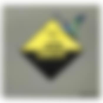 Corrosive bird (preview)