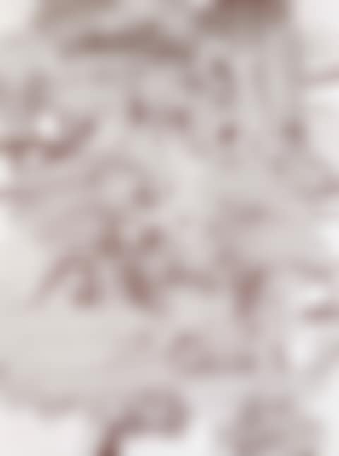 Untitled (P492) (preview)