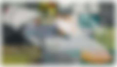 SOMEDAY MY PRINCE WILL COME (preview)