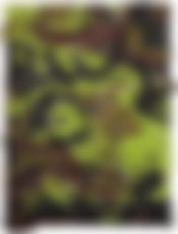 Untitled (SK-DV) from the series CAMOUFLAGE (preview)
