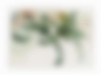 EA (preview)
