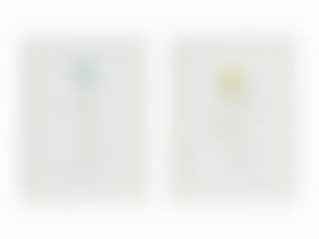 [Untitled] (preview)