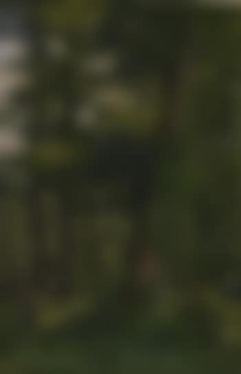 Eichwald (preview)