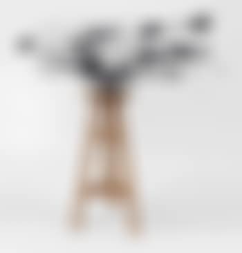 Typewriter (preview)