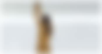 Donna nuda che avvita una lampadina (Nude woman affixing a light bulb) (preview)