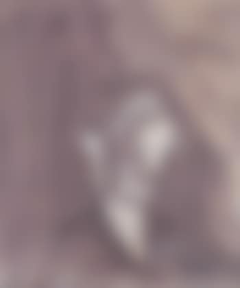 Self portrait (preview)
