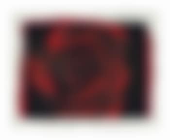 Study of Rose (preview)