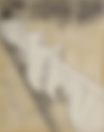 The Wall (Project for a Wrapped Roman Wall - "Porta Pinciania" - delle Mura Aureliane, via Vitt Veneto) (preview)