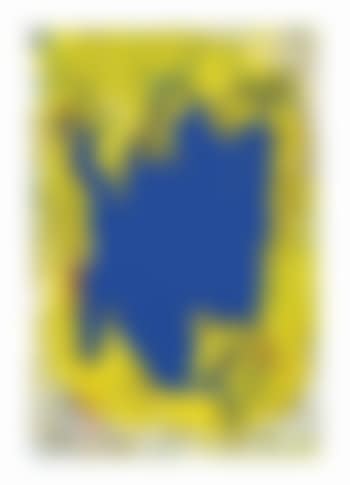 Macaw (preview)