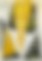 Yellow mask (preview)