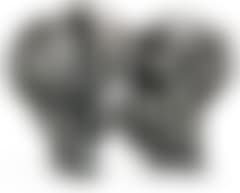 Dunkedyret (preview)