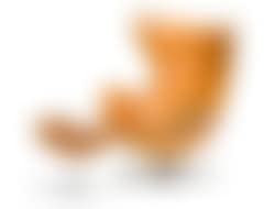 The Egg Chair (preview)