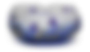 A bowl decorated with violets (preview)
