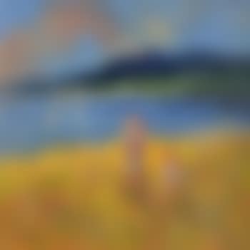 Picking Flowers and Admiring the Boats, West of Ireland (preview)