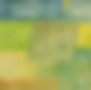 Summer Fields I, Kerry (preview)