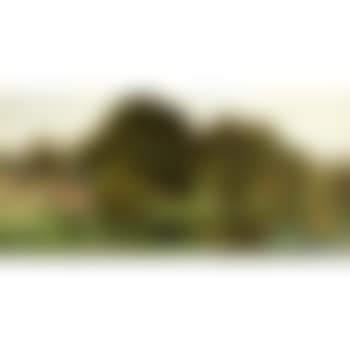 A pastoral river scene (preview)