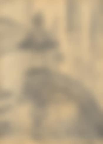 Detail de Dijon (preview)