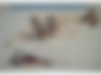 Driftwood, Lossiemouth (preview)