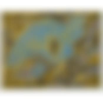 Oiseau cosmique (preview)