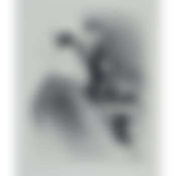 Ducarre aux ambassadeurs (preview)