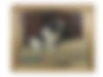 Study of a black-and-white English springer spaniel (preview)