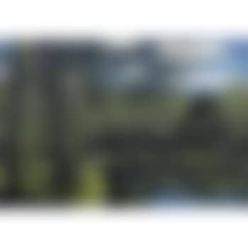 Etang de Saint-Cucufa (preview)