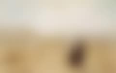 Ved kaliffernes grave.  At the Tombs of the Khalifs (preview)