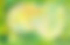 Green mask (preview)
