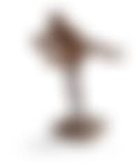 Dancing accordionist (preview)