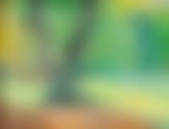 Landskab med stort træ (Landscape with large tree) (preview)