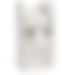 Woman's torso (preview)