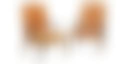 [Untitled] (preview)