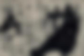 Sin título (preview)